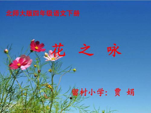 花之咏课件.ppt1