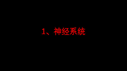 影像学读片总结复习资料