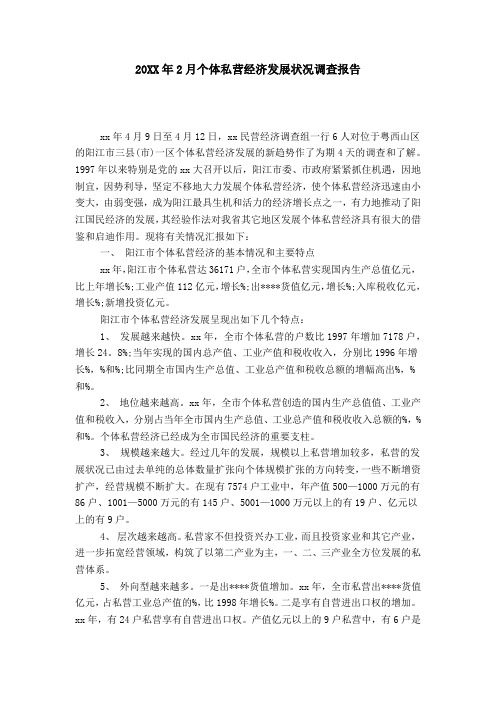 20XX年2月个体私营经济发展状况调查报告-总结报告模板