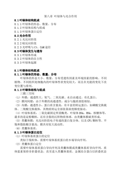 叶绿体与光合作用精讲课件