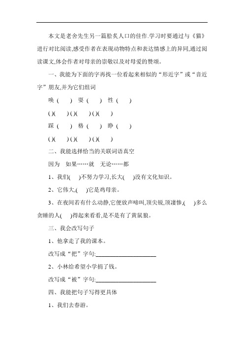 四年级语文母鸡练习题6