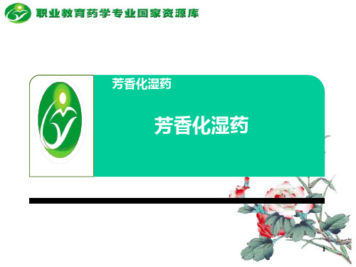 芳香化湿药.