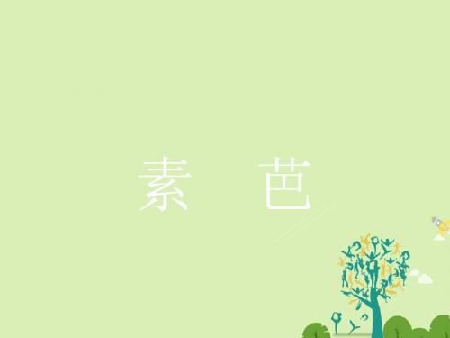 高中语文 4.2素芭课件 新人教版选修《外国小说欣赏》