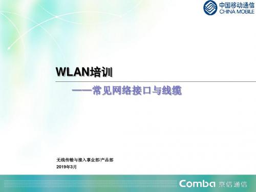 WLAN常见网络接口和线缆-精选文档