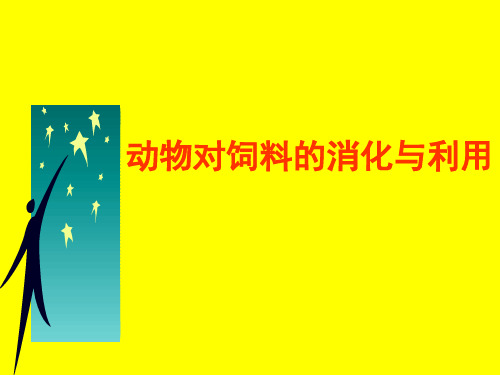 动物营养学课件 3