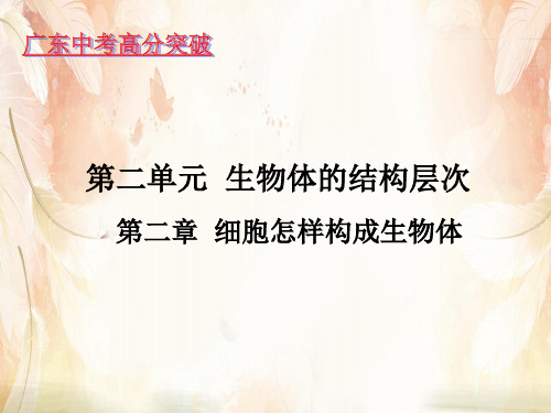 细胞怎样构成生物体PPT课件5 人教版