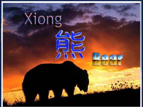 野生动物鉴赏之三——熊