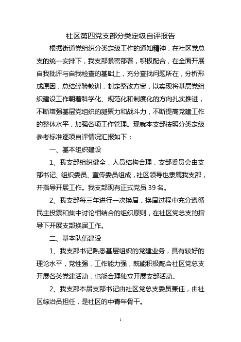 党组织分类定级自查汇报