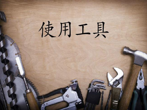 六年级上册科学课件-1.1 使用工具｜教科版 (共13张PPT)