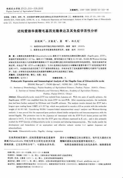 迟钝爱德华菌鞭毛基因克隆表达及其免疫学活性分析