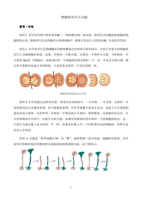 新课标高中生物人教版必修第一册第二册知识解析〖细胞核有什么功能〗