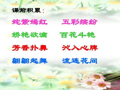 15《一路花香》2ppt课件1