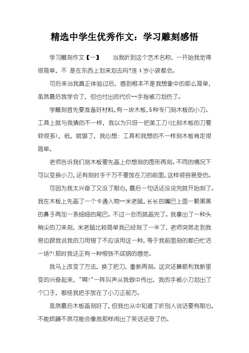 精选中学生优秀作文：学习雕刻感悟