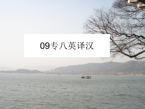 09专八英译汉