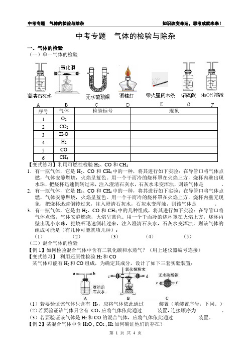 中考专题  气体的检验与除杂