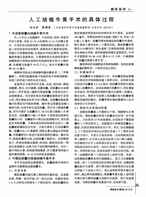 人工培植牛黄手术的具体过程