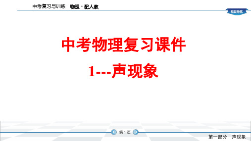 中考物理复习课件1---声现象