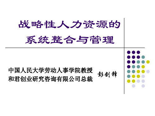 战略性人力资源的系统整合与管理(彭剑峰031107)共120页