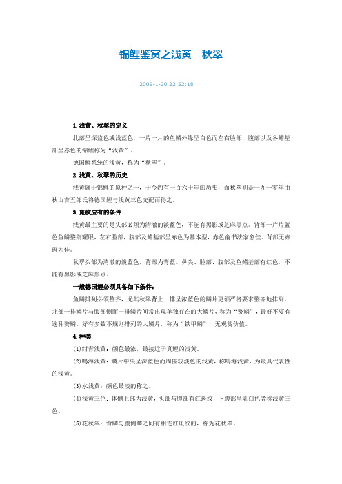 锦鲤鉴赏之浅黄  秋翠
