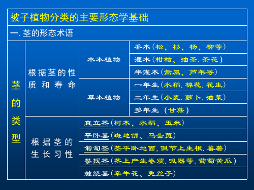 被子植物分类的主要形态学基础