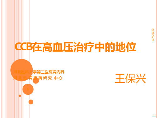 CCB在高血压治疗中PPT课件