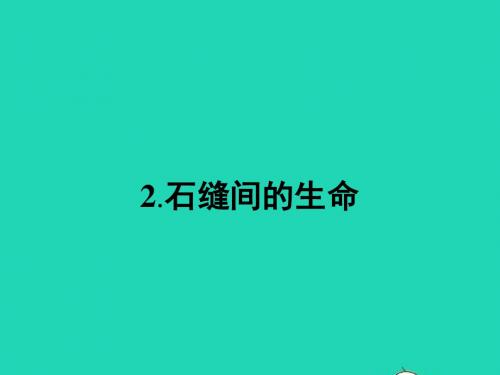 九年级语文下册 第一单元 2 石缝间的生命课件 语文版