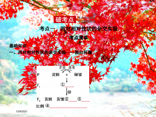 高考生物二轮复习专题12基因的自由组合定律课件高三全册生物课件