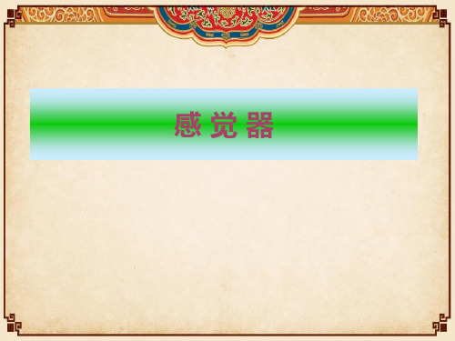 感觉器--视器  ppt课件