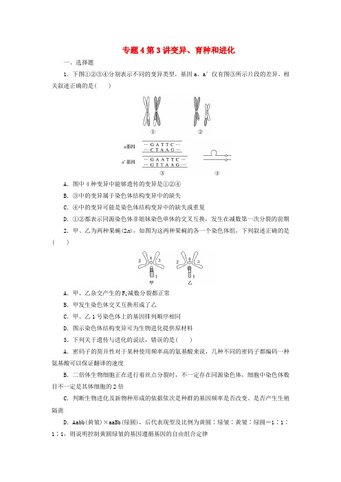 2018年高考生物复习专题4遗传变异和进化第3讲变异育种和进化检测