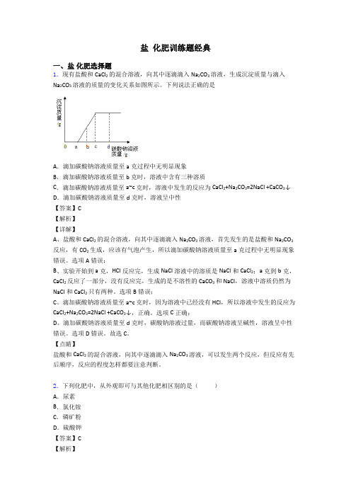 盐 化肥训练题经典