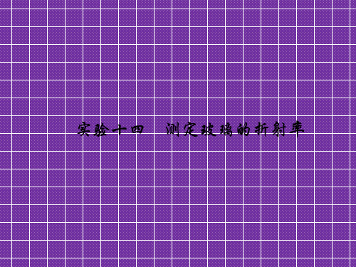2012高考物理一轮复习(人教版)精品课件实验14