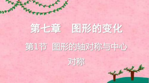 重庆市2019年中考数学一轮复习第七章图形的变化第1节图形的轴对称与中心对称课件_39(含答案)