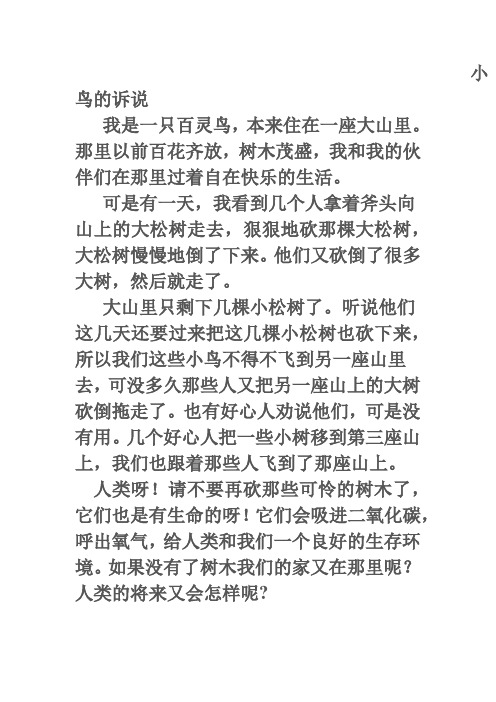 小鸟的诉说