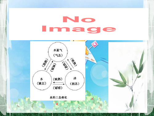 《水的三态变化》温度和水的变化PPT3  图文