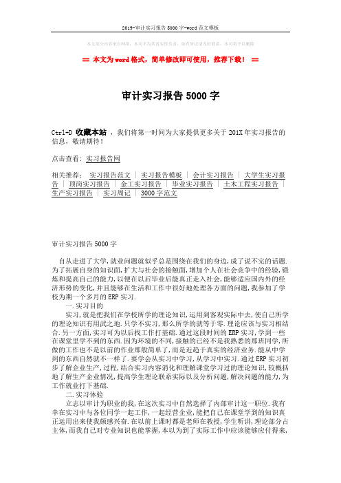 2019-审计实习报告5000字-word范文模板 (3页)