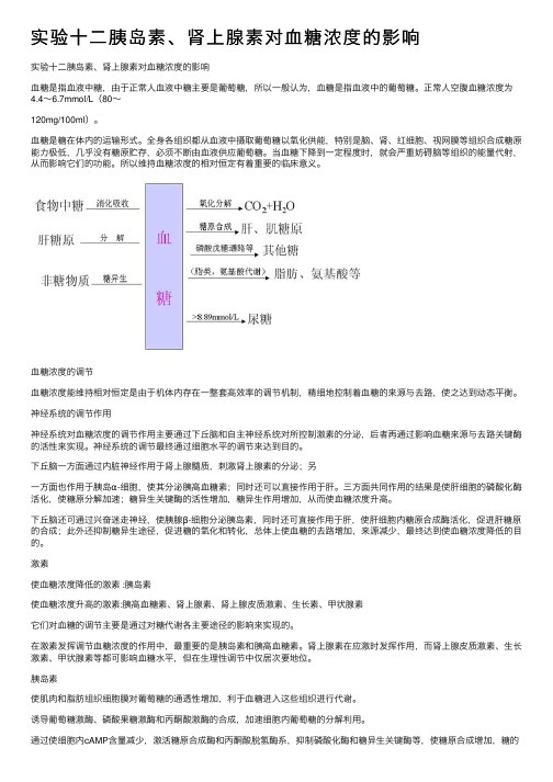 实验十二胰岛素、肾上腺素对血糖浓度的影响