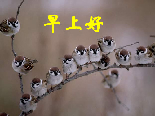 雁南飞的启示