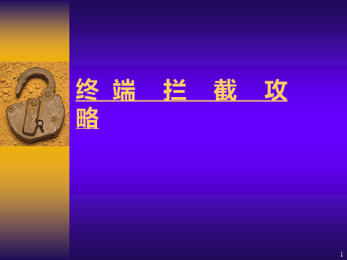 通讯卖场终端拦截攻略PPT课件