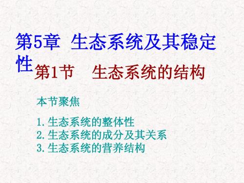 生态系统的结构14