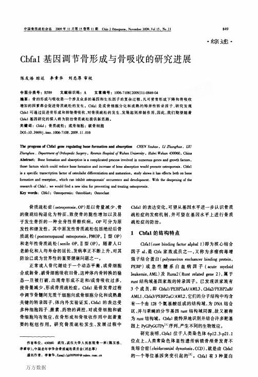 Cbfa1基因调节骨形成与骨吸收的研究进展