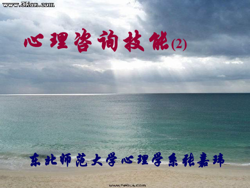 心理咨询技能(之二) PPT课件