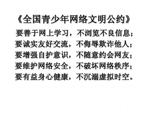 《生活处处有情趣》PPT课件(4)