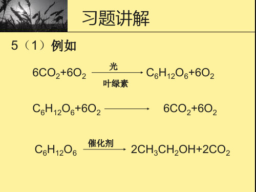 人工合成有机化合物