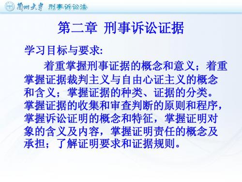 第二章  刑事诉讼证据