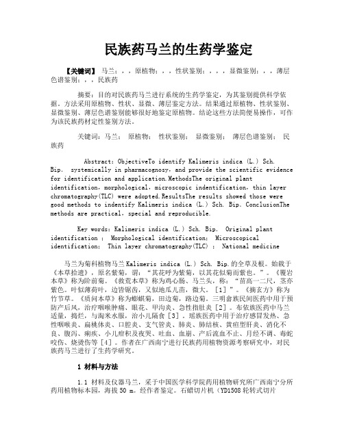 民族药马兰的生药学鉴定