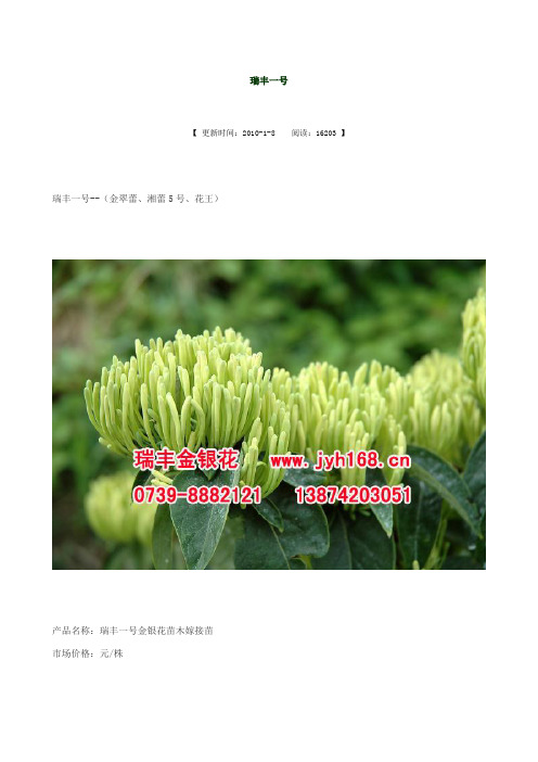 金银花部分名优品种介绍