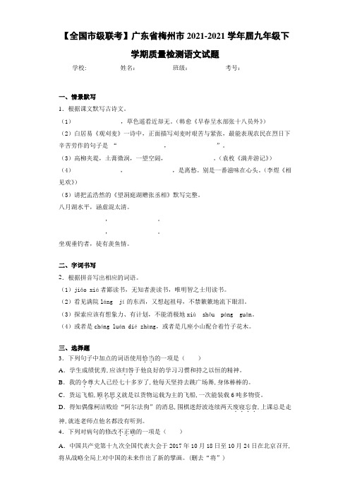 【全国市级联考】广东省梅州市2021届九年级下学期质量检测语文试题