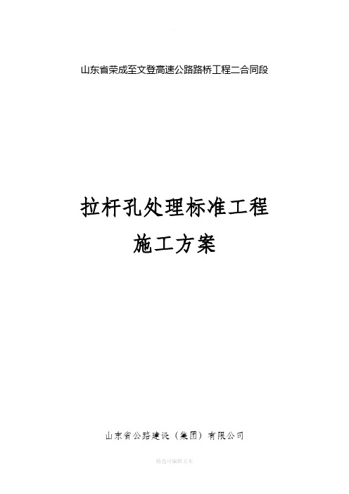 拉杆孔处理标准工程施工方案