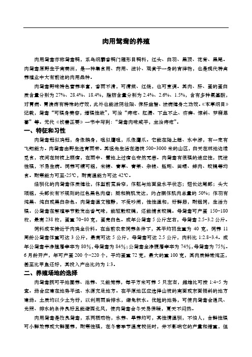 资料-肉用鸳鸯养殖技术总结