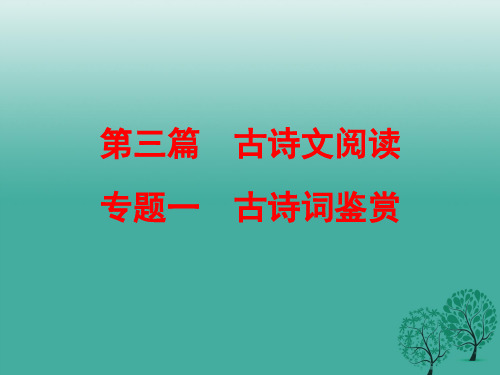 中考语文复习第三篇专题一古诗词鉴赏课件